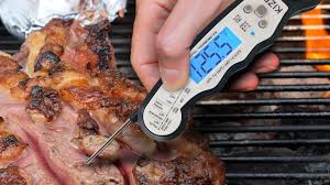 digital fish thermometer
