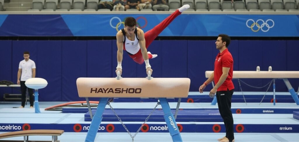 gymnastics horse
